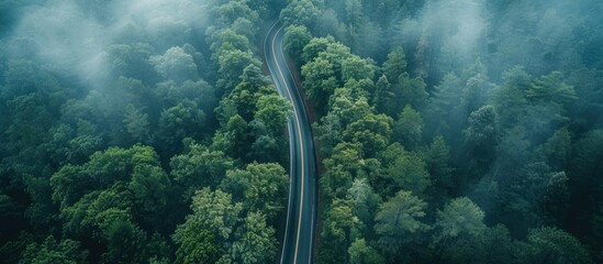 An aerial perspective of a road meandering through a lush forest, surrounded by dense trees and greenery. - obrazy, fototapety, plakaty