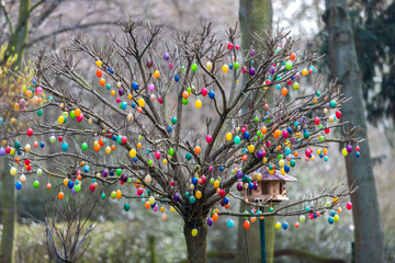Ein Baum voller Ostereier in allen Farben bunt geschmückt.