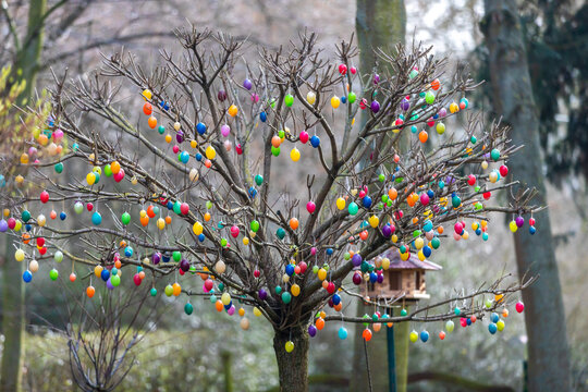 Ein Baum voller Ostereier in allen Farben bunt geschm&uuml;ckt.