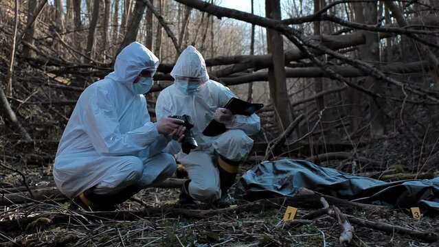 Forensic specialist working in the forest. Police criminalists collecting evidence and making criminal investigation. Crime scene concept.
