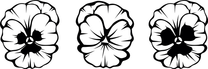 Pansy flowers. Black silhouettes of pansy flowers isolated on a white background. Set of black and white vector illustrations