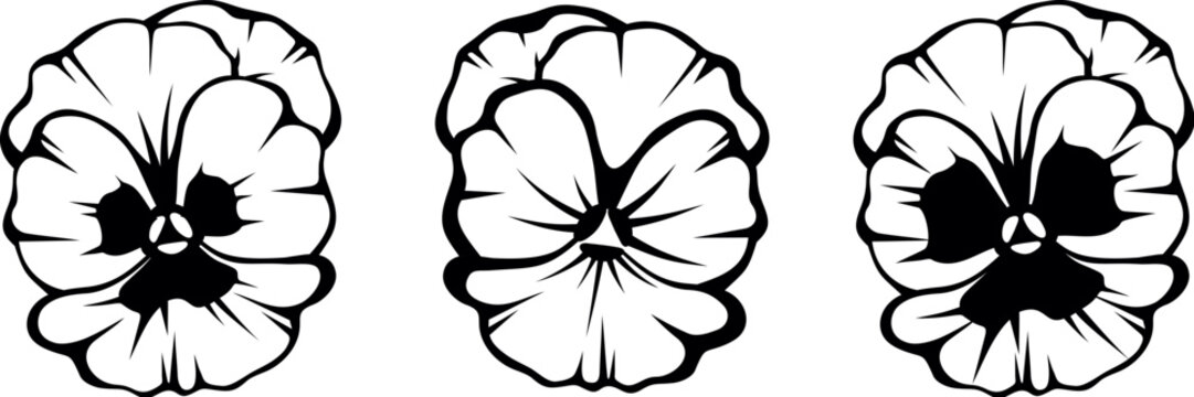 Pansy flowers. Black silhouettes of pansy flowers isolated on a white background. Set of black and white vector illustrations