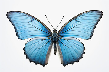 Stylized blue butterfly on a white background, AI generated