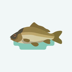 Cyprinus, carps fish. - 749452381