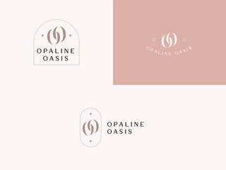 Professional Lettermark Initials Logo Design