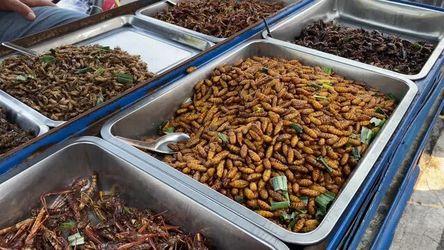 Street vendor sells grasshoppers, pupa and other insects as exotic foods in the iconic Khaosan Road in Bangkok, Thailand.
