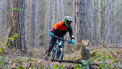 Day out in the forest. MTB trails. Mountain bike cycling in forest. Spring colours.