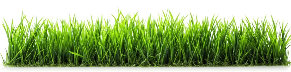 Rolgordijnen Isolated green grass on a white background © PaulShlykov