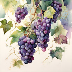 Watercolor grapes illustration, generative ai