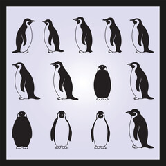 Fototapeta premium Penguin silhouette set Clipart on a hex color background