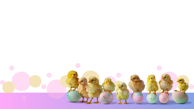 Easter chicks and easter eggs on transparent background. Happy Easter
