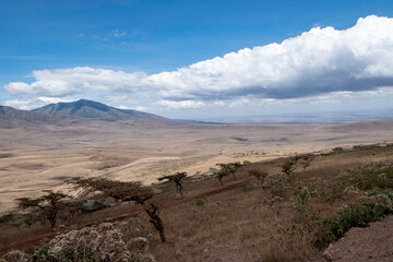 Ngorongoro, Tanzania, October 26, 2023. Aerial view of the interior of the crater