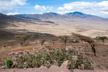 Ngorongoro, Tanzania, October 26, 2023. Aerial view of the interior of the crater
