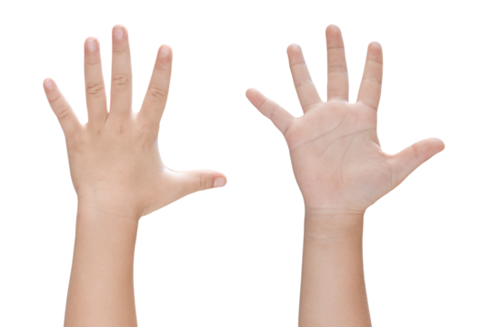 Child hand shows five fingers isolated on transparent background. PNG File