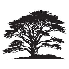 Unwavering Presence: A Steadfast Cypress Tree Silhouette Symbolizing Stability - Cypress Tree Illustration - Cypress Tree Vector
