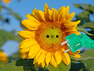 Collage aus Sonnenblume, Steckdose und Netzstecker, symbolisch für Ökostrom