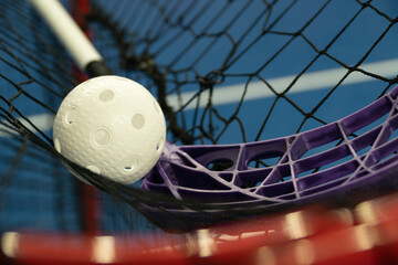 Floorball ball and stick on top of goals