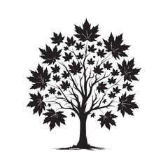 Nature's Majesty: A Towering Maple Tree Silhouette Reaching for the Sky - Maple Tree Illustration - Maple Tree Vector
