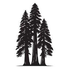 Redwood Tree Silhouette Bathed in Golden Sunlight: A Moment of Enchantment in the Forest - Illustration of Redwood Tree - Vector of Redwood Tree - Silhouette of Redwood Tree
