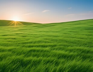 Obraz premium Green evening sunset meadow with sky backdrop, sustainability and space background