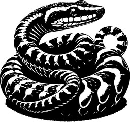 Fototapeta premium Agkistrodon Contortrix 