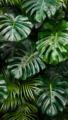 Creative layout made of green tropical leaves. Nature concept.