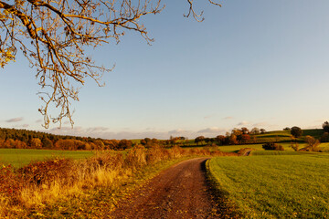 Landscape with a road, Bidford-on-Avon, Warwickshire, England