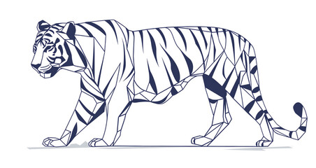 Rysunek tygrysa na białym tle, zarys, szkic - obrazy, fototapety, plakaty