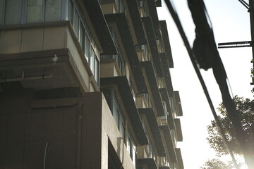 small dust in the dusk