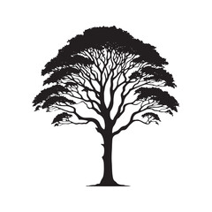 Majestic Sycamore Tree Silhouette Standing Tall Against the Sky - Illustration of Sycamore Tree - Vector of Sycamore Tree - Silhouette of Sycamore Tree
