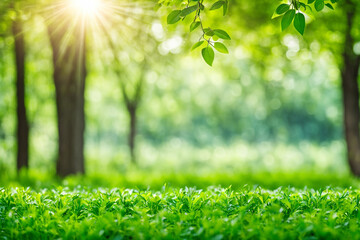 Obraz premium green grass background