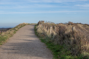 Fototapeta na wymiar fenced path over the dunes on the dutch north sea in zeeland