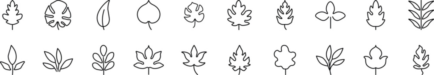 Collection of thin line icons of leaf. Editable stroke. Simple linear illustration for web sites, newspapers, articles book