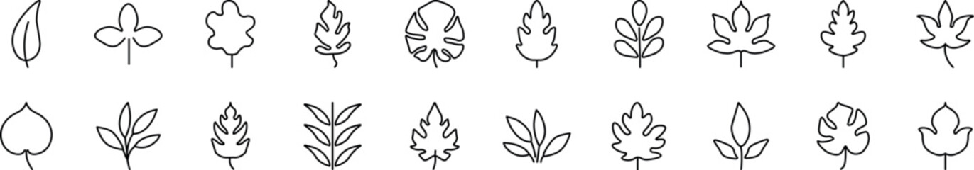 Pack of linear symbols of leaf. Editable stroke. Linear symbol for web sites, newspapers, articles book