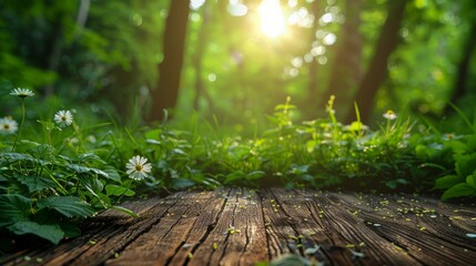 Grass green in spring with green bokeh, sunlight, and wood floor. Beautiful background in nature.