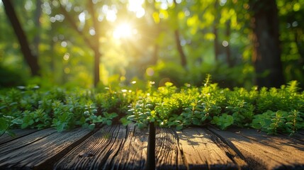 A fresh spring green grass and natural background with bokeh and sunlight.