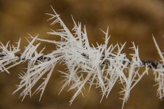 frost on a barbed wire fence