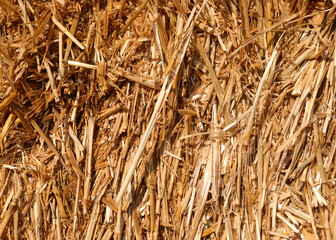 background of hay and straw ideal as a backdrop for an agricultural concept  for peasant civilization