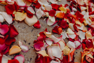 Sortie de cérémonie de mariage et tapis de pétales de roses rouges