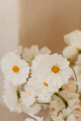 Bouquet de fleurs blanches