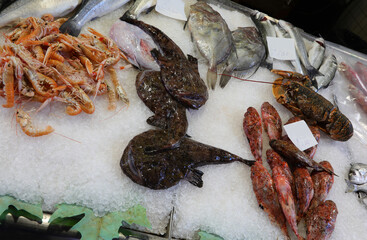 Monkfish fish on the ice of the counter for sale in the fish shop with other types of fish