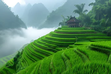 Zelfklevend Fotobehang Rice fields on terraced © Evhen Pylypchuk
