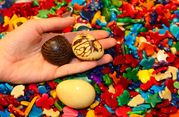 Three seeds of the TAGUA plant also called Vegetable Ivory in different stages of processing to...