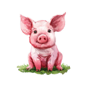 cute pig vector illustration in watercolour style