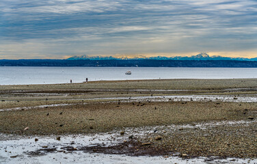 Rocky Puget Sound Shoreline 8