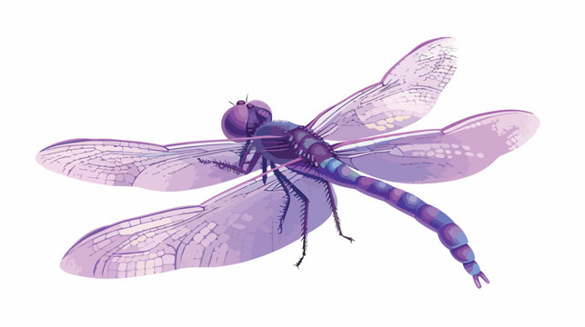 Purple dragonfly insect spring season isolated 