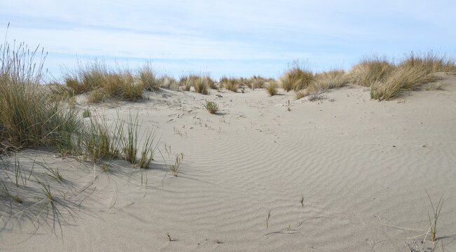 views of the beach inside the Parco dell'Uccellina, Grosseto, Tuscany, Italy