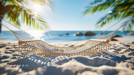 Hammock Serenity: Enjoying the Seascape in a Caribbean Paradise, a Perfect Beachside Getaway