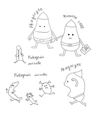 Leukocyte phagocytes and lymphocytes destroy pathogenic microbes. Immune system. Antibodies and antigens. Vector sketch cute illustration for kids