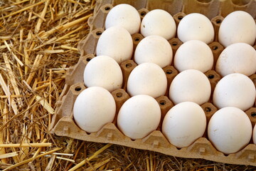 fresh eggs and chicken eggs with dried straw lying on a wooden background table on an organic farm